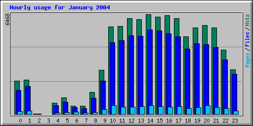 Hourly usage for January 2004